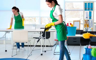 Arlington Heights Cleaning Service